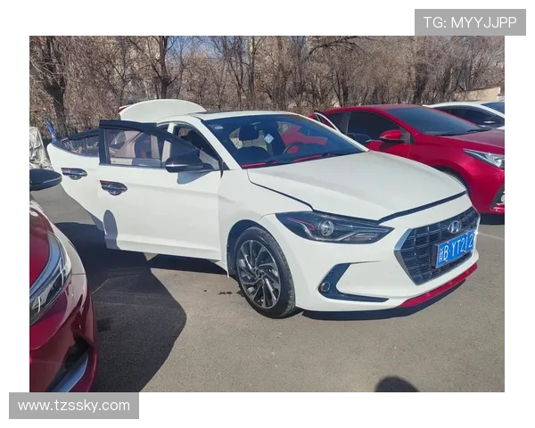 1.4T获“十佳” 现代汽车率先做到了