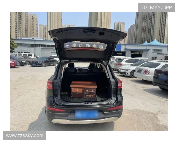 1.5T自乐型 新幻速S6购车手册