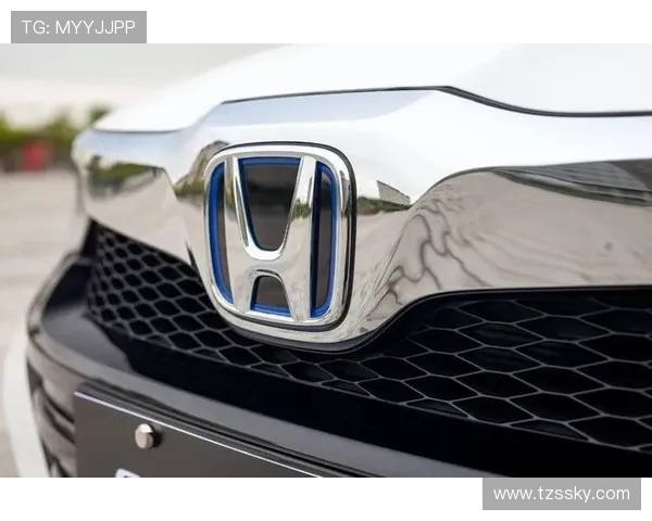 1.8T动力1.6L油耗 全新荣威550黄金动力